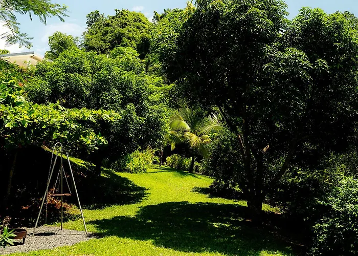 Bed and breakfast Casa Laureles